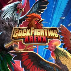 cockfighting arena km en